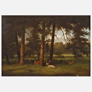 Phillips, "Ruhendes Rotwild"