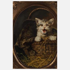 Hans Werner Schmidt, Katzen im Körbchen