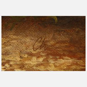 Romalager vorm Cottage