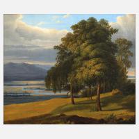 Romantische Sommerlandschaft111