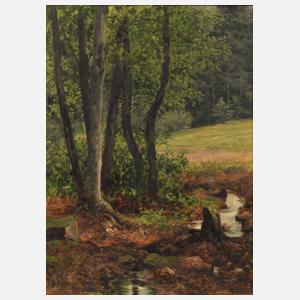 Max Asperger, Bach am Waldesrand