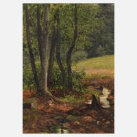 Max Asperger, Bach am Waldesrand111