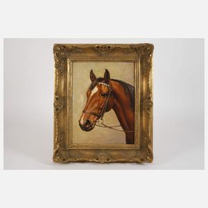 Ernst Brödel, Portrait eines Vollbluts