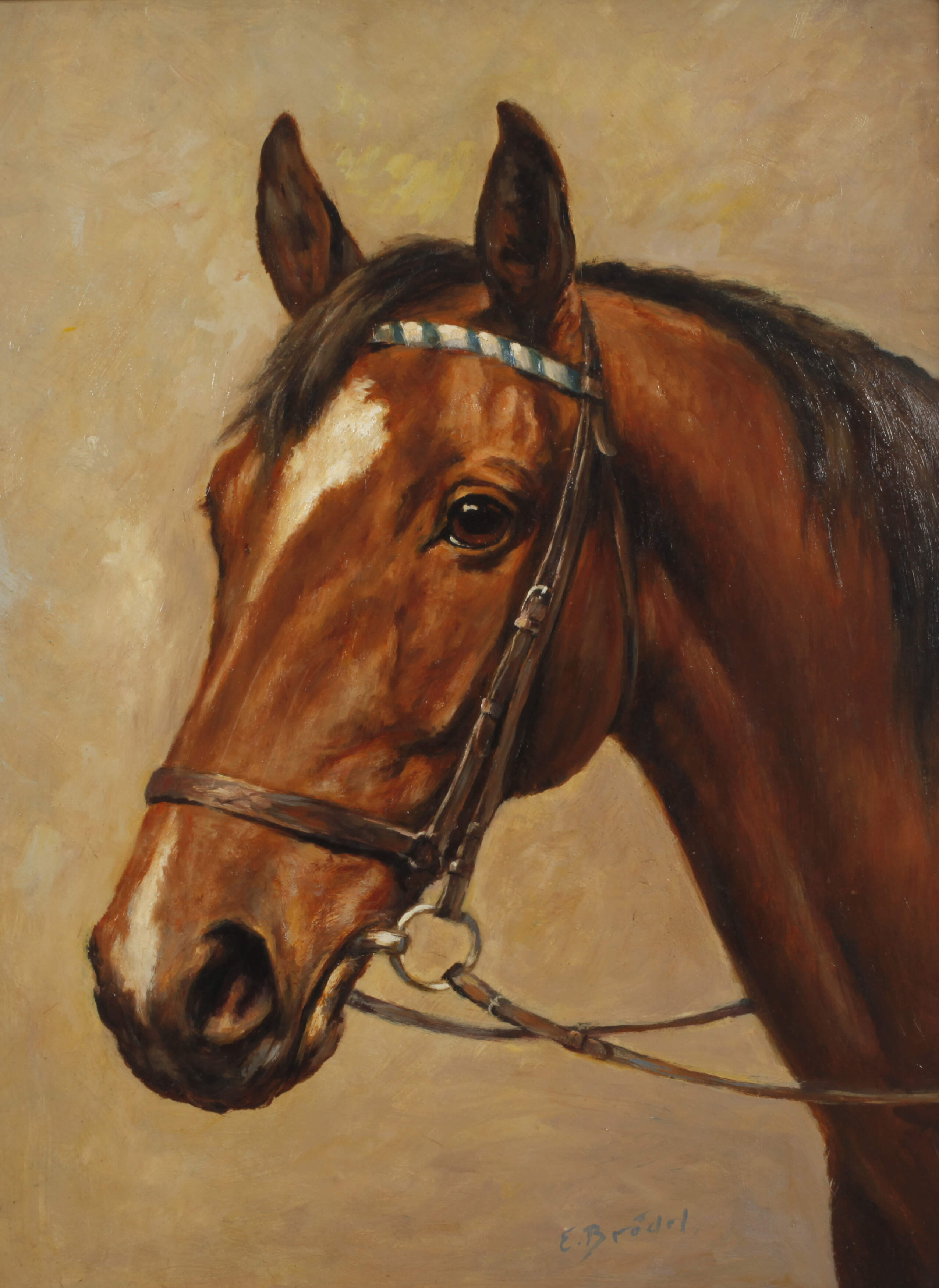 Ernst Brödel, Portrait eines Vollbluts