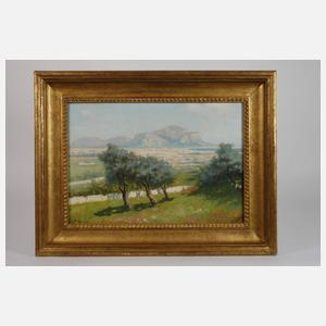 Erminio Kremp, Bei der Olivenernte vor Palermo