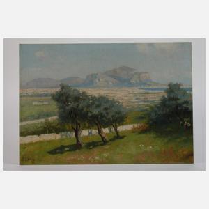 Erminio Kremp, Bei der Olivenernte vor Palermo