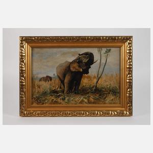 Doehner, Elefantenbild