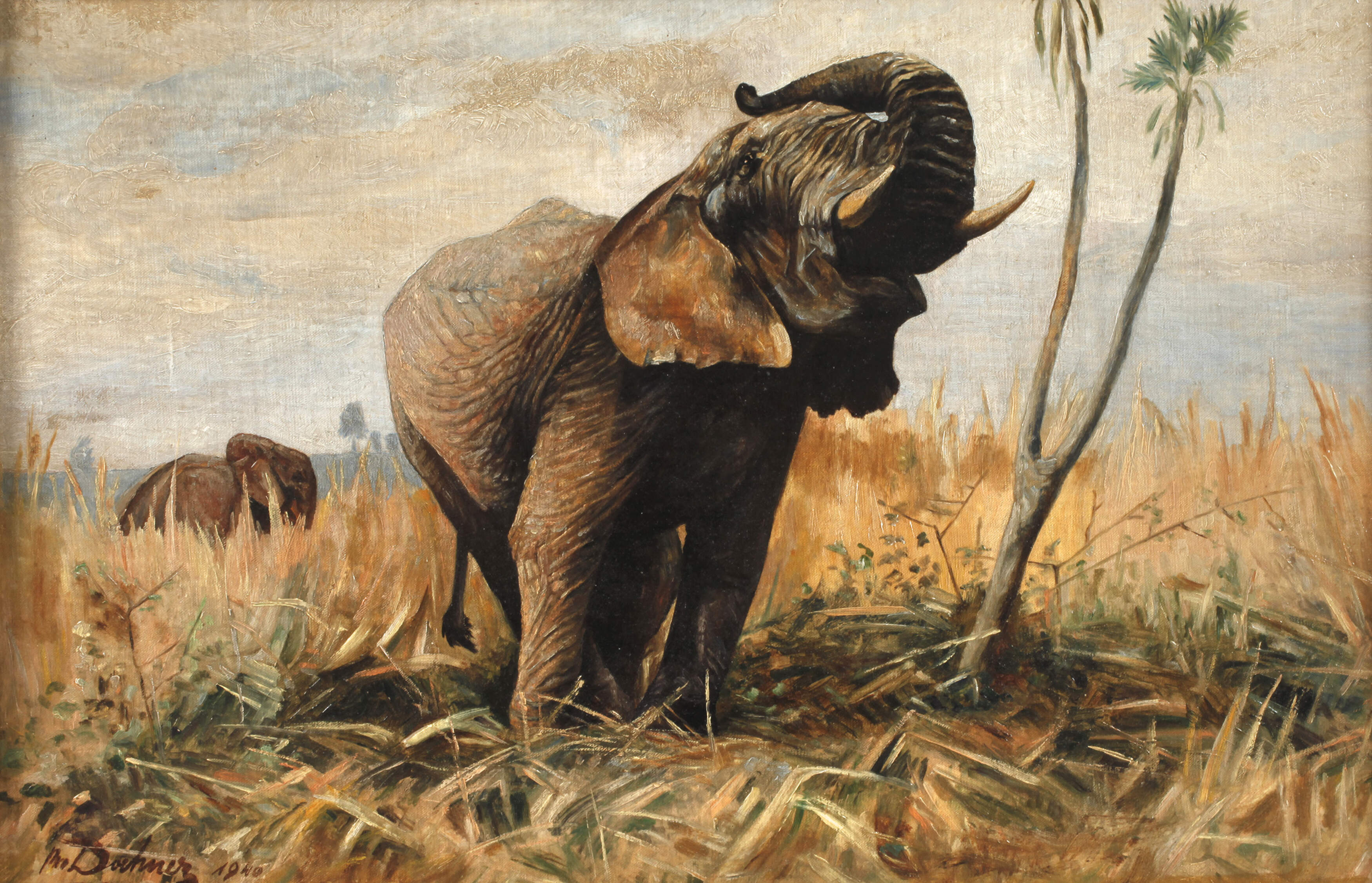 Doehner, Elefantenbild