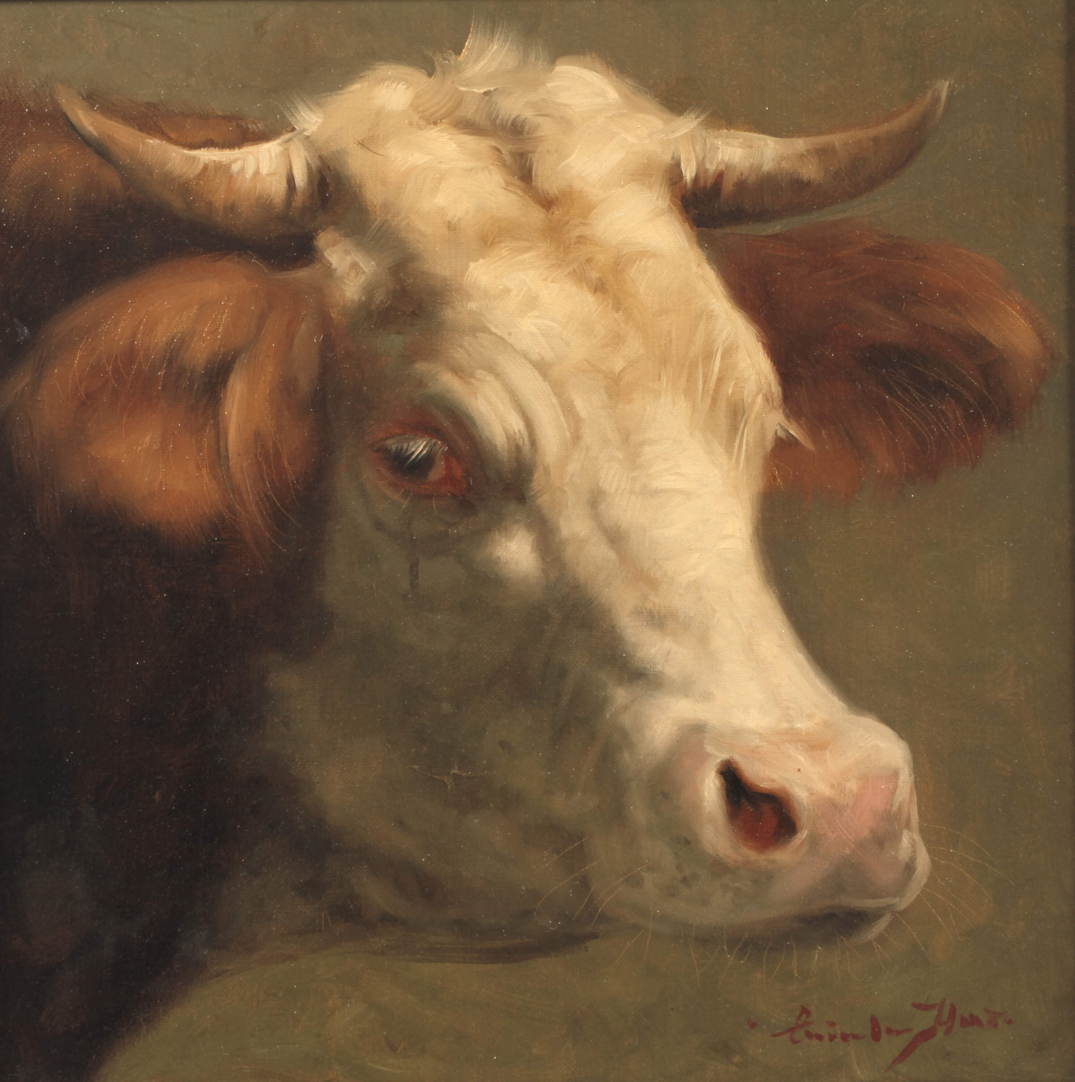 Horst Einöder, Rinderportrait