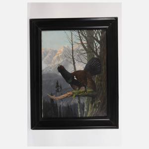 Clemens Freitag, Balzender Auerhahn im Gebirge