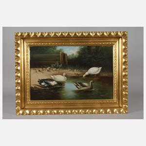 B. Günter, Enten am Teich