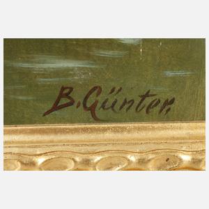 B. Günter, Enten am Teich