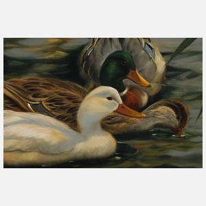Hubert Kaplan, "Enten im Teich"