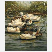 Hubert Kaplan, "Enten im Teich"111