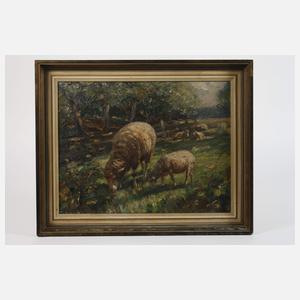 A. Müller, Schafe auf der Weide