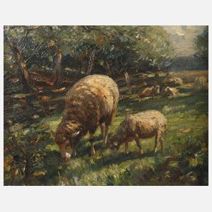 A. Müller, Schafe auf der Weide
