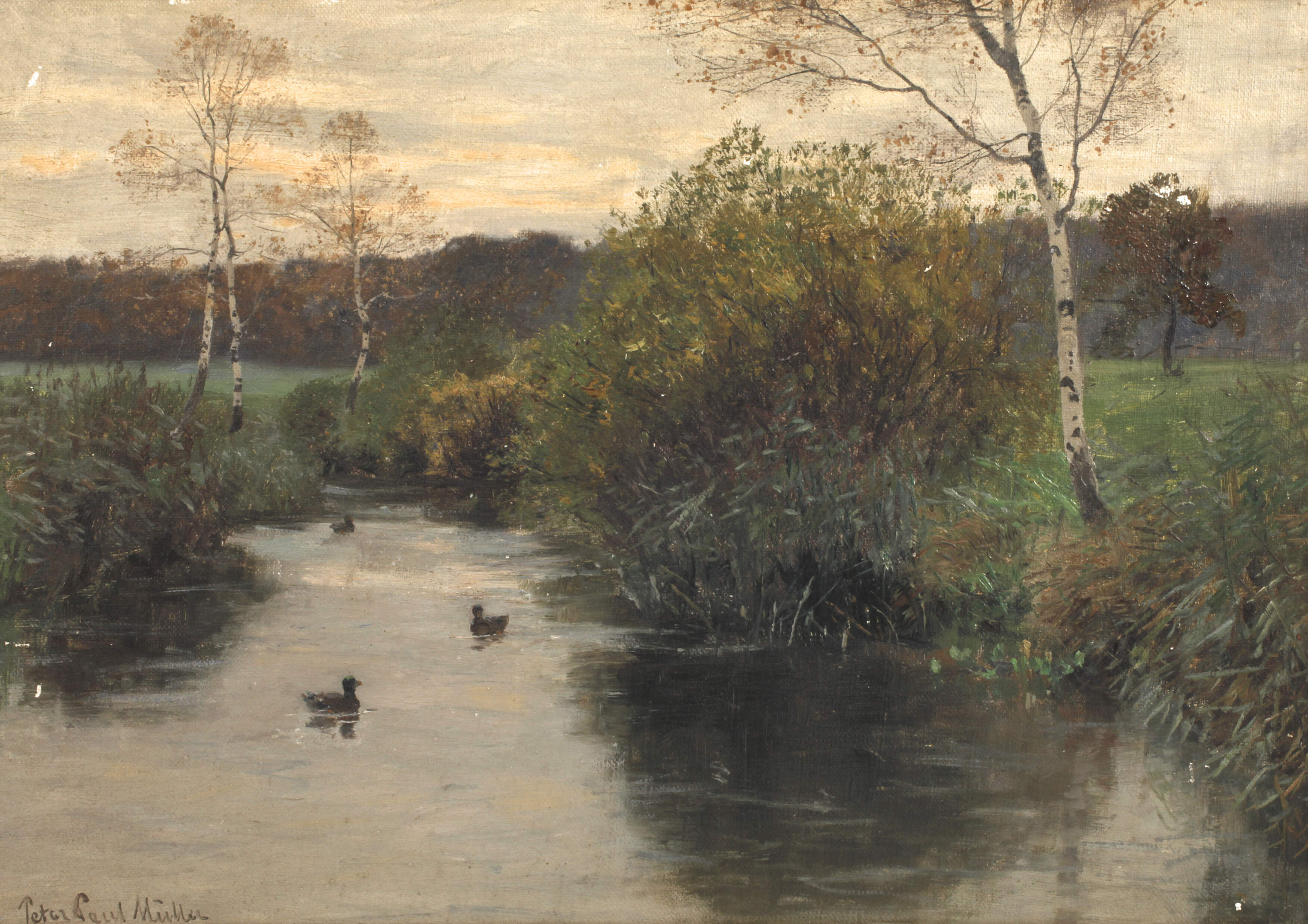 Peter Paul Müller, Enten auf dem Teich