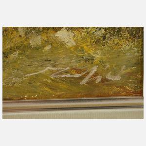 Madjid Rahnavard, Mädchen am See