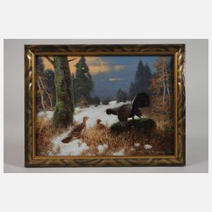 Otto Scheuerer, Balzender Auerhahn