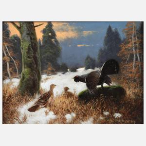 Otto Scheuerer, Balzender Auerhahn