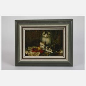 Katze mit spielenden Jungen