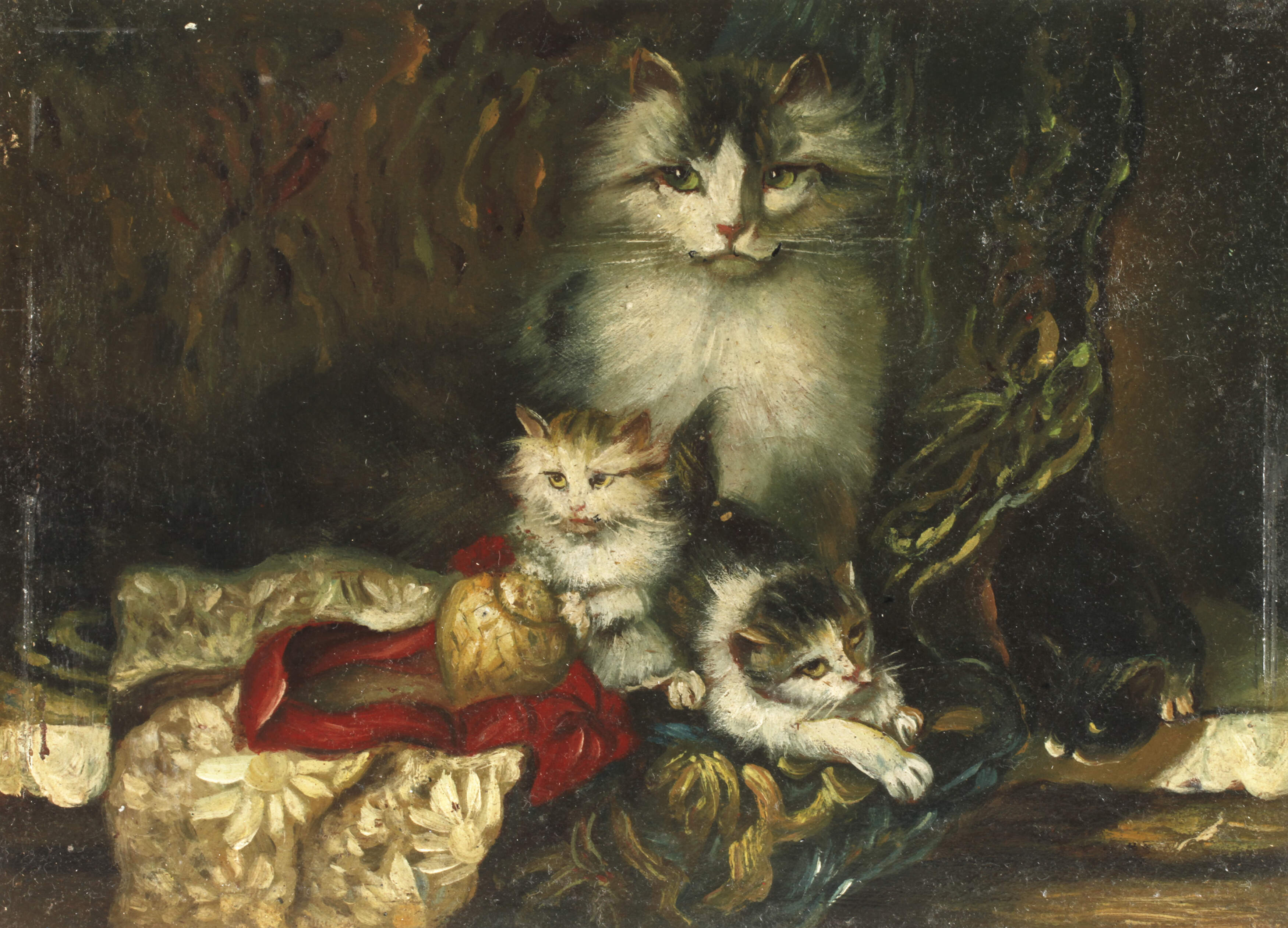 Katze mit spielenden Jungen