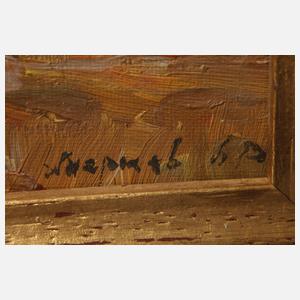 Herbstliche Uferlandschaft