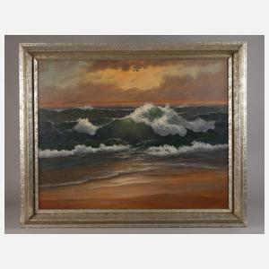 Meeresbrandung im Abendlicht