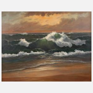 Meeresbrandung im Abendlicht