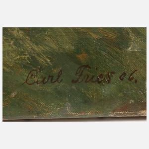 Carl Fries, Sommerlicher Kiefernwald