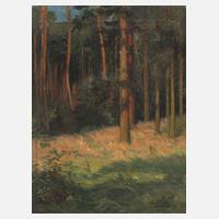 Carl Fries, Sommerlicher Kiefernwald111
