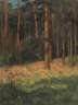 Carl Fries, Sommerlicher Kiefernwald