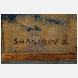 Sebastian Shakirov, Dorfkirche in Baia Mare