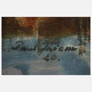 Dr. Paul Thiem, "Blick in das Tal"