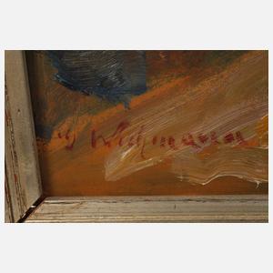 Georg Wichmann, Blick zum Riesengebirge