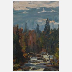 Georg Wichmann, Blick zum Riesengebirge