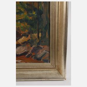 Georg Wichmann, Blick zum Riesengebirge