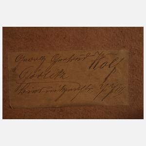 Georg Wichmann, Blick zum Riesengebirge