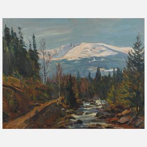 Georg Wichmann, Blick zum Riesengebirge