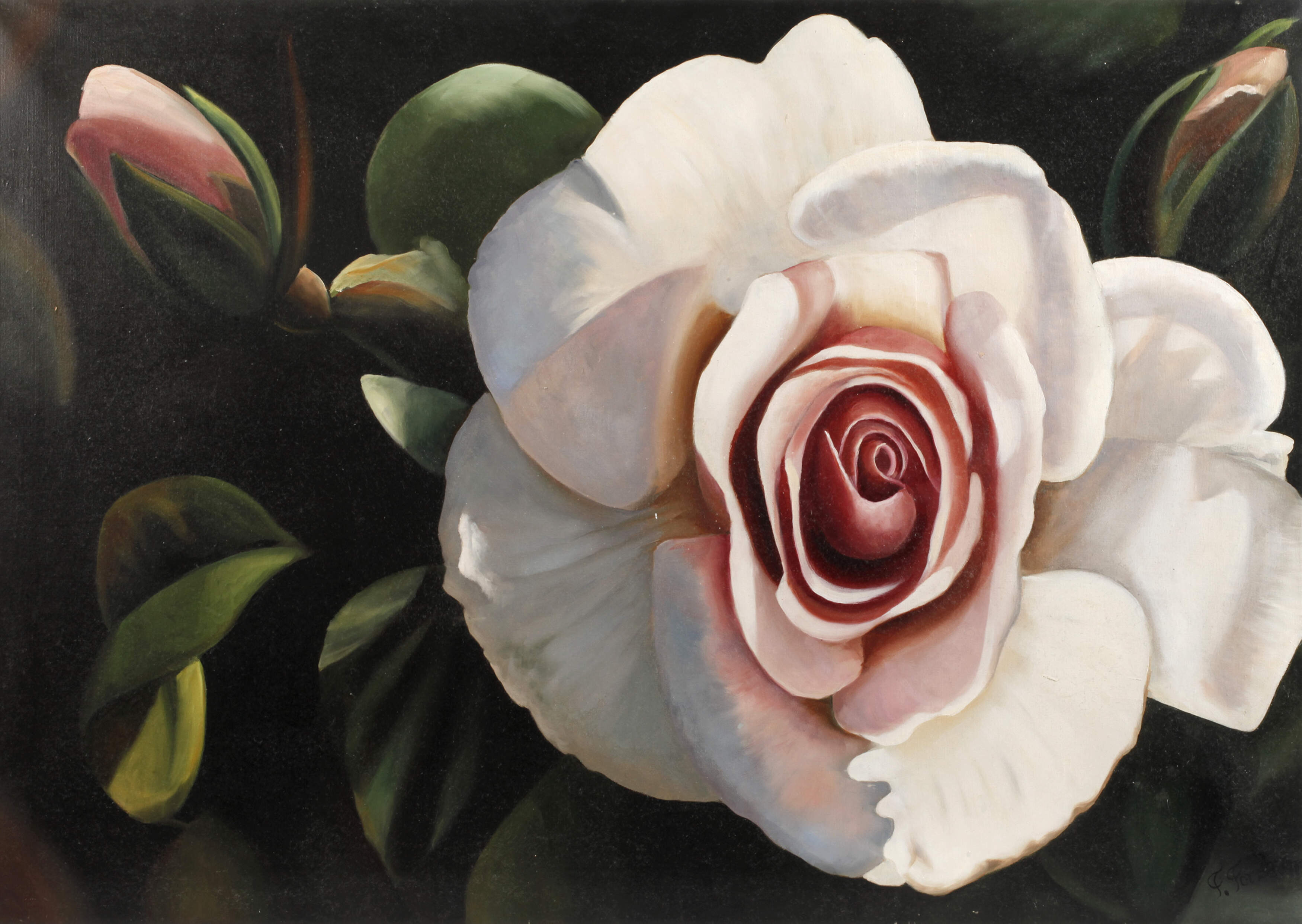 Frank Forster, Rose "City of London"