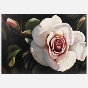 Frank Forster, Rose "City of London"