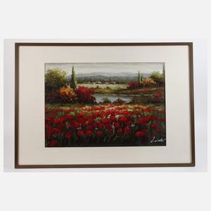 Blühender Mohn in der Provence