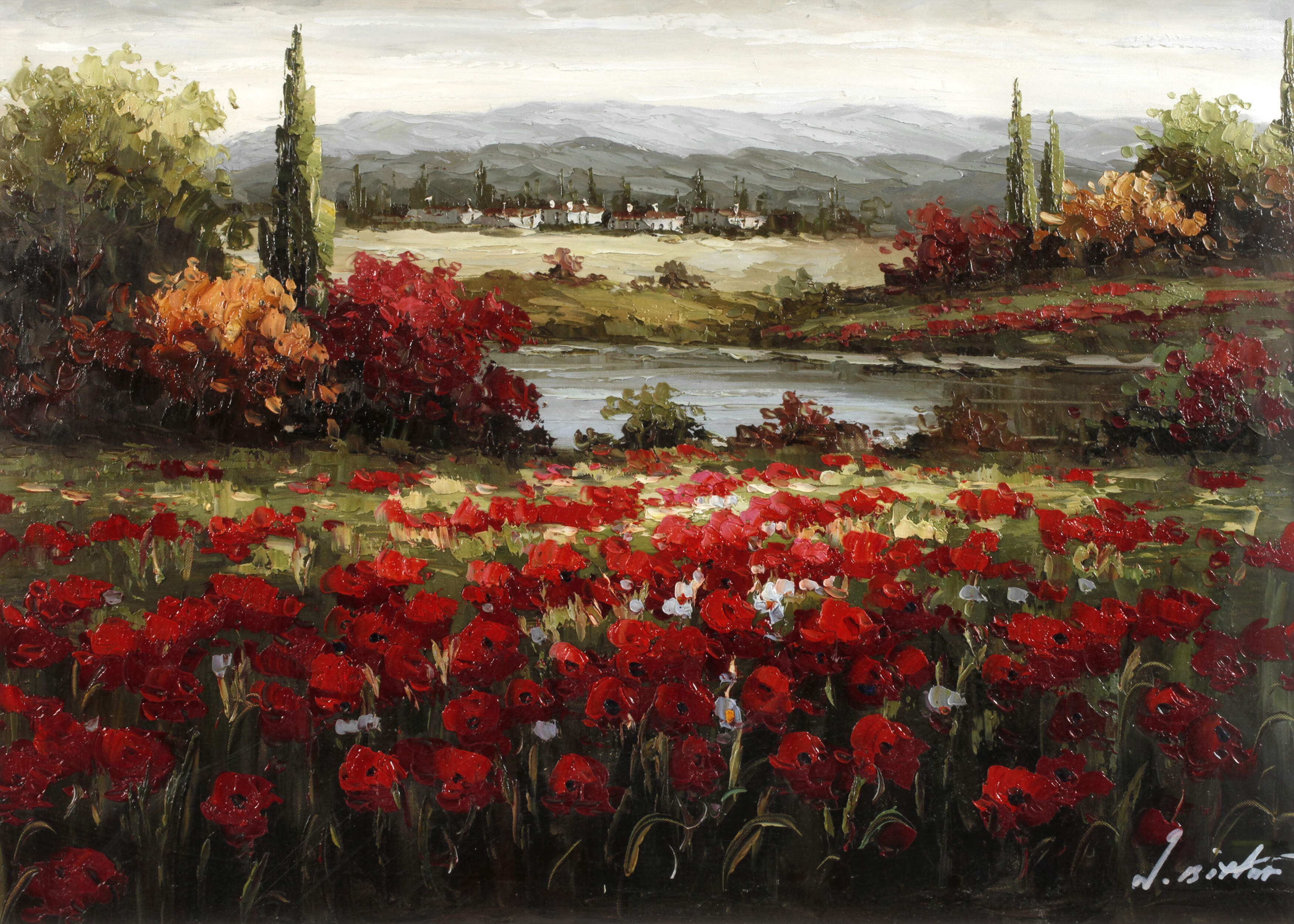 Blühender Mohn in der Provence