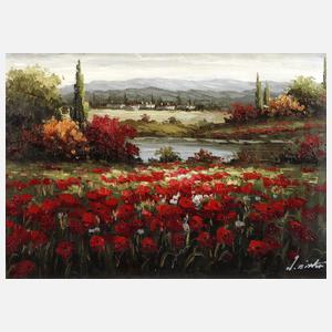 Blühender Mohn in der Provence