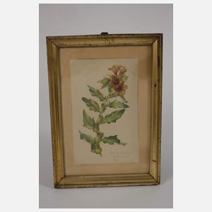 Zwei kleine Berliner Leisten