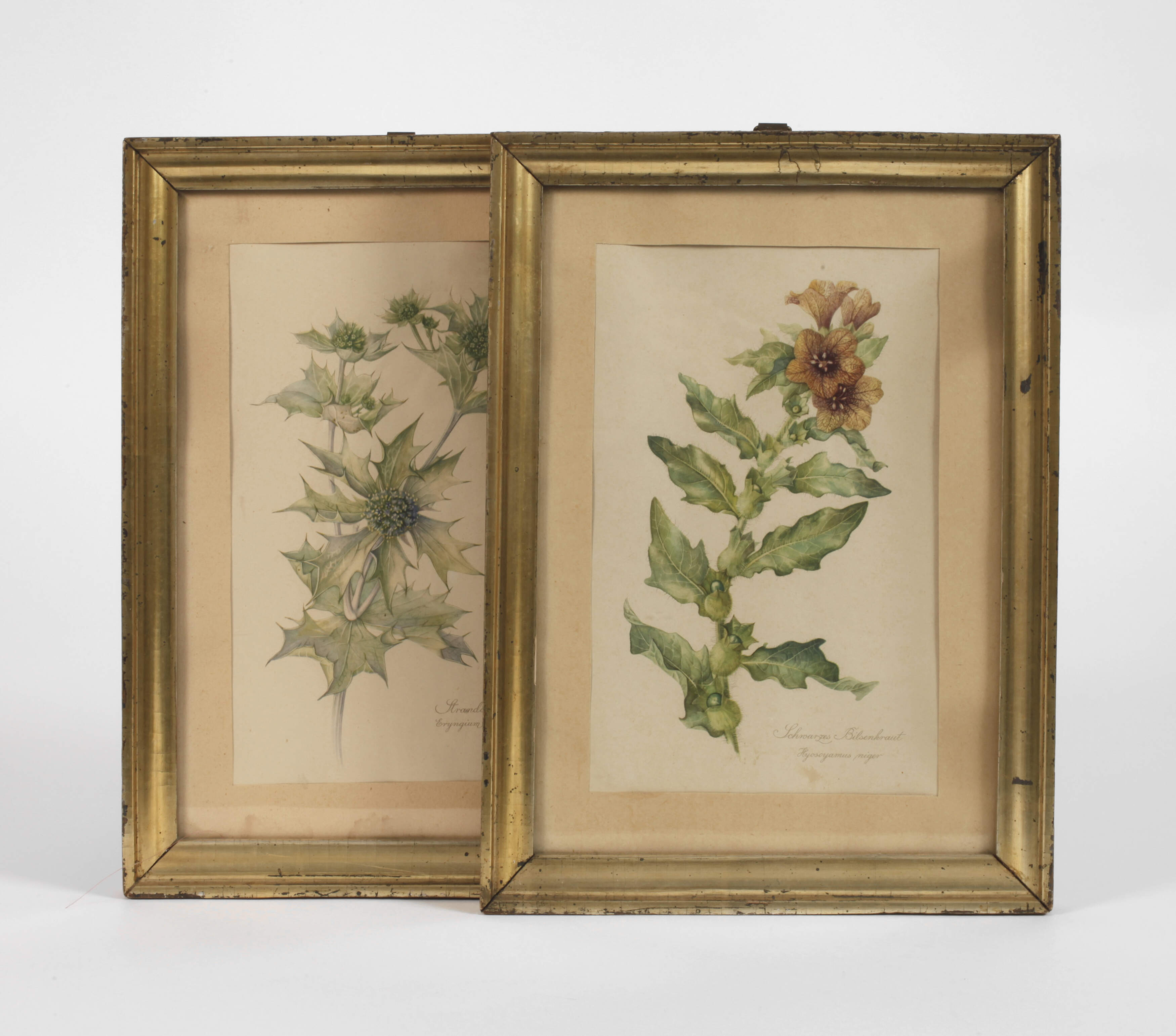 Zwei kleine Berliner Leisten