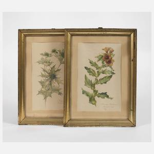 Zwei kleine Berliner Leisten