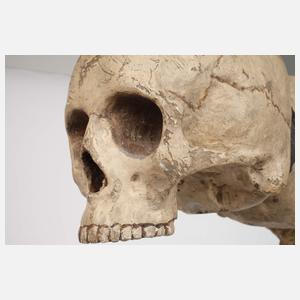 Memento Mori Doppelschädel