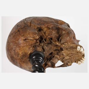 Barocker Schwurschädel