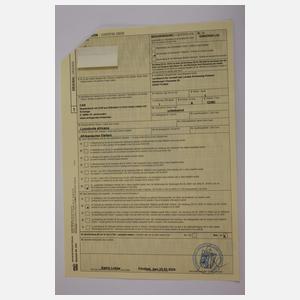 Spazierstock Elfenbein